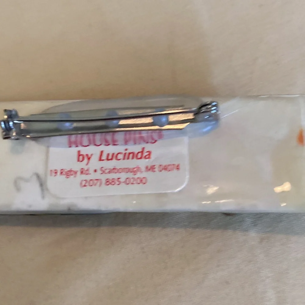 Lucinda house pin brooch